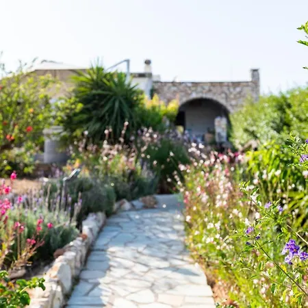 Feriehus Panorama Maisonette Livadia (Paros)